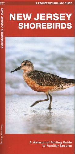 Cover image for New Jersey Shorebirds: A Waterproof Folding Guide to Familiar Species