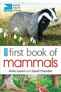 Cover image for RSPB First Book Of Mammals