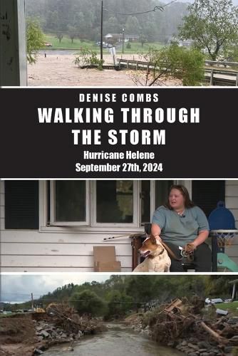 Cover image for Walking Through the Storm