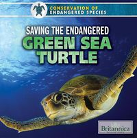 Cover image for Saving the Endangered Green Sea Turtle