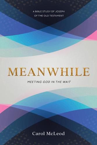 Meanwhile: Meeting God in the Wait