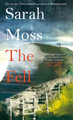 Cover image for The Fell