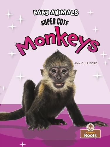 Super Cute Monkeys