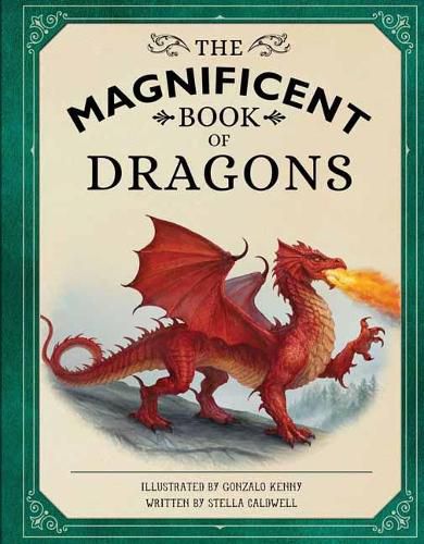 Cover image for The Magnificent Book of Dragons