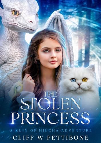 Cover image for The Stolen Princess