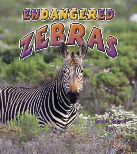 Cover image for Endangered Zebras