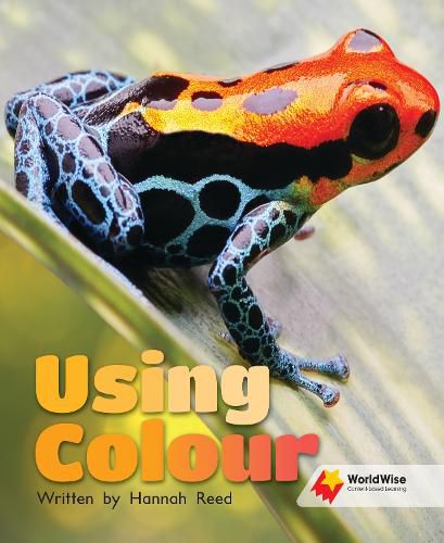 Cover image for Using Colour