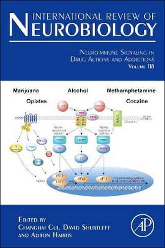 Cover image for Neuroimmune Signaling in Drug Actions and Addictions