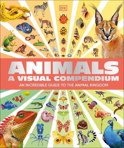 Cover image for Animals A Visual Compendium