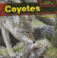 Cover image for Coyotes