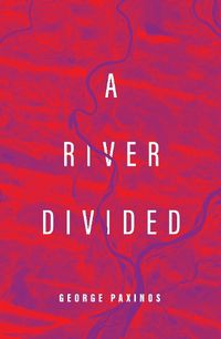 Cover image for A River Divided