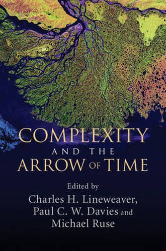 Cover image for Complexity and the Arrow of Time