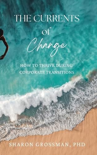 Cover image for The Currents of Change
