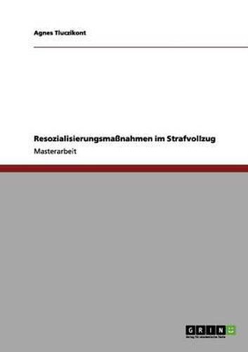 Cover image for Resozialisierungsmanahmen Im Strafvollzug