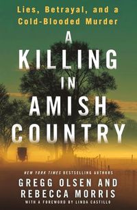 Cover image for A Killing in Amish Country