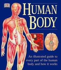 Cover image for The Human Body: An Illustrated Guide to Every Part of the Human Body and How It Works