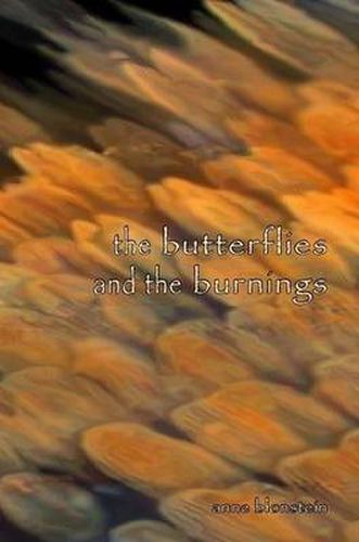 Cover image for The Butterflies and the Burnings