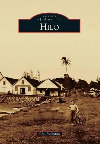 Cover image for Hilo