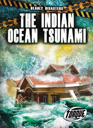 Cover image for The Indian Ocean Tsunami