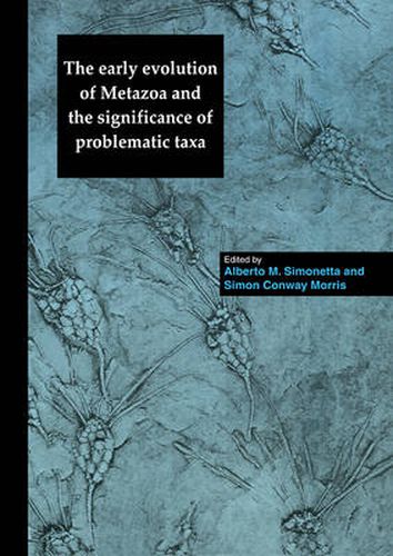 Cover image for The Early Evolution of Metazoa and the Significance of Problematic Taxa