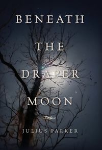 Cover image for Beneath the Draper Moon