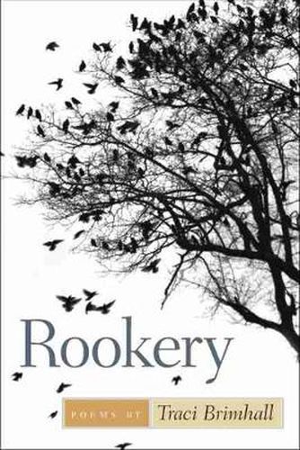 Cover image for Rookery