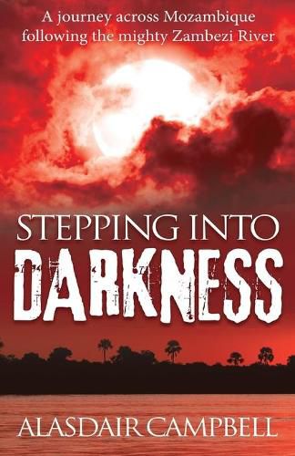 Cover image for Stepping into Darkness