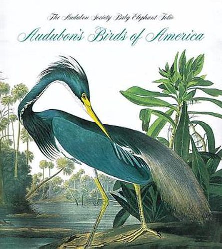 Audubon's Birds of America: The National Audubon Society Baby Elephant Folio