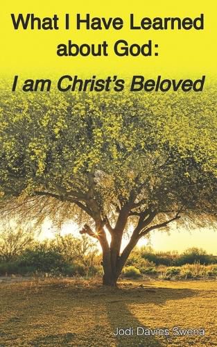 Cover image for What I Have Learned About God