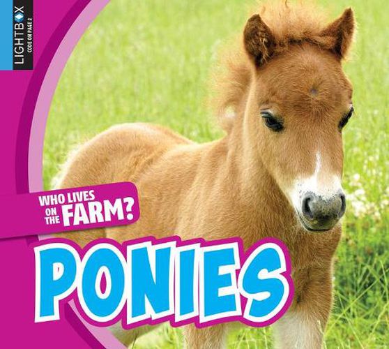 Ponies