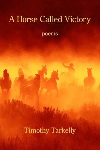 Cover image for A Horse Called Victory