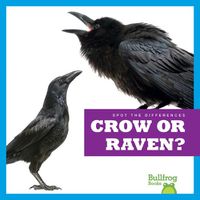 Cover image for Crow or Raven?