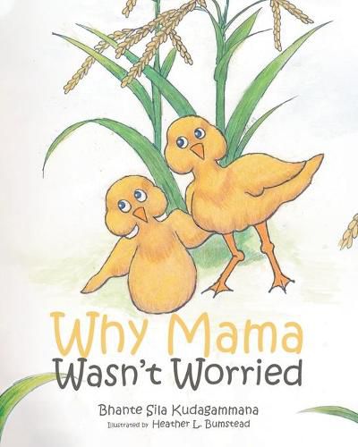 Cover image for Why Mama Wasn't Worried