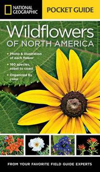 Cover image for National Geographic Pocket Guide to Wildflowers of North America