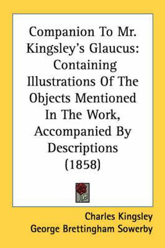 Cover image for Companion to Mr. Kingsley's Glaucus: Containing Illustrations of the Objects Mentioned in the Work, Accompanied by Descriptions (1858)