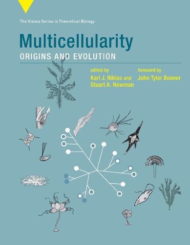 Multicellularity: Origins and Evolution