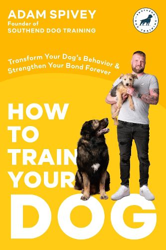 Cover image for How to Train Your Dog