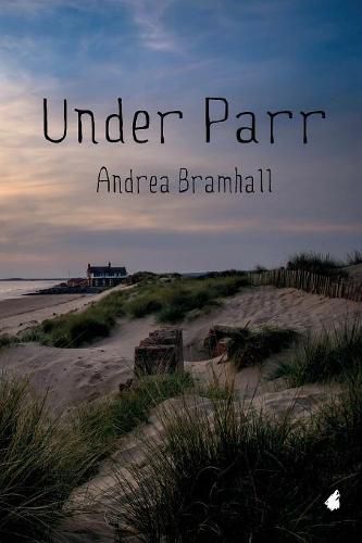 Cover image for Under Parr