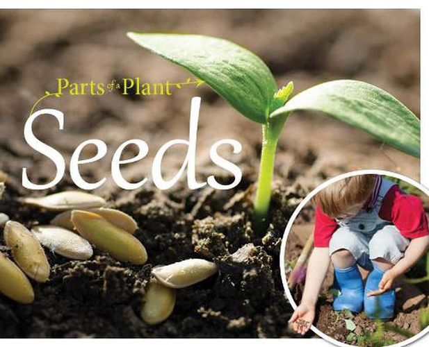 Cover image for Seeds