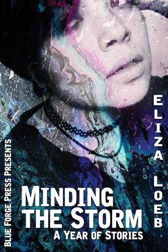 Cover image for Minding the Storm