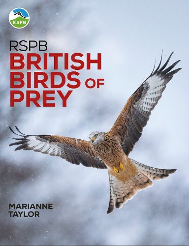 Cover image for RSPB British Birds of Prey: New Edition