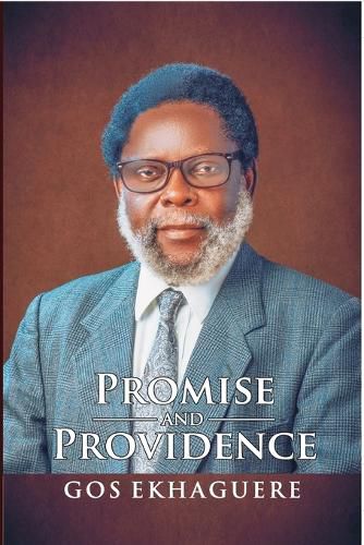 Cover image for Promise and Providence