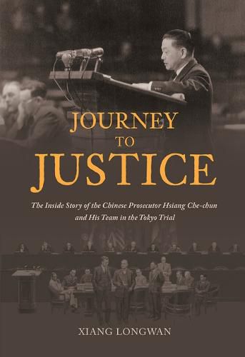 Cover image for Journey to Justice
