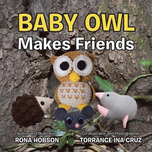 Cover image for Baby Owl Makes Friends