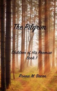 Cover image for The Pilgrim