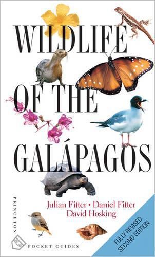 Cover image for Wildlife of the Galapagos: Second Edition