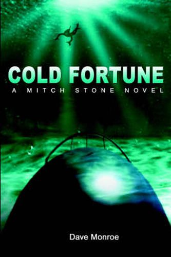 Cover image for Cold Fortune: A Mitch Stone Novel