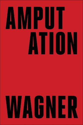 Cover image for Amputation
