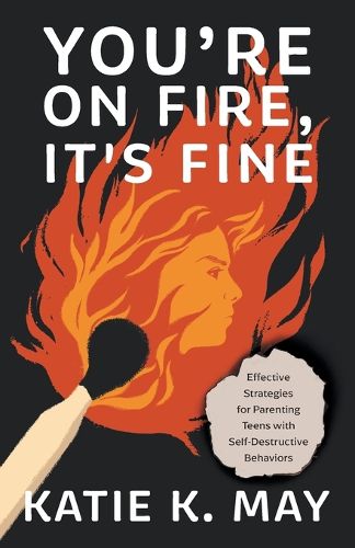 Cover image for You're on Fire, It's Fine