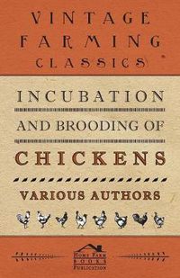 Cover image for Incubation And Brooding Of Chickens